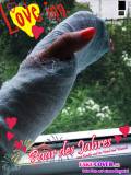 Magazin Cover 25/06/9NQh7JbL